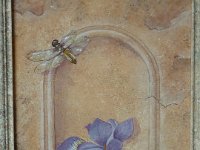 6 Libelle mit Iris